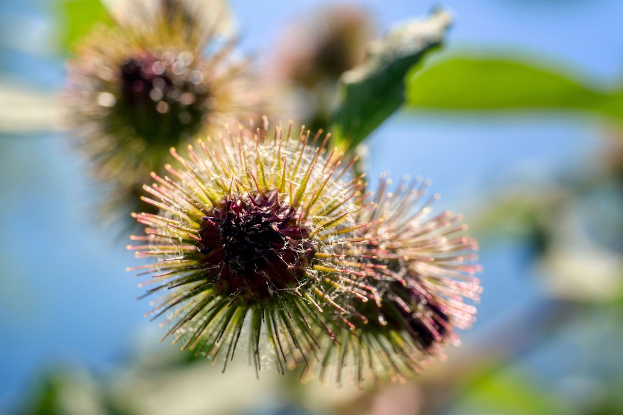 découvrez les avantages d'une wastegate externe pour optimiser les performances de votre moteur. améliorez la gestion de la pression de suralimentation et accédez à une puissance accrue tout en réduisant les risques de surchauffe. idéal pour les passionnés de tuning et de compétition automobile.